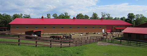 Open House